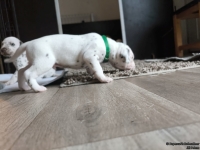 IMG_20250121_112652_web