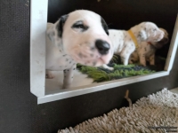 IMG_20250121_112659_web