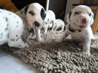 IMG_20250121_112712_web