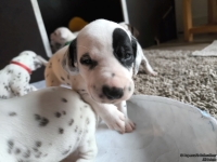 IMG_20250121_112737_web