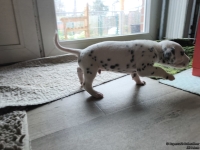 IMG_20250121_112739_web