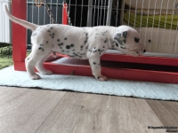 IMG_20250121_112747_web