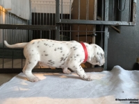 IMG_20250121_112825_web