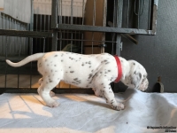 IMG_20250121_112827_web