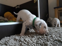 IMG_20250121_112841_web