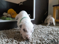 IMG_20250121_112842_web