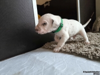 IMG_20250121_112844_web