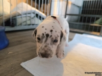 IMG_20250121_112855_web