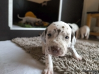 IMG_20250121_112904_web