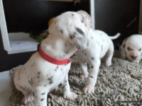 IMG_20250121_112912_web