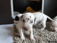 IMG_20250121_112914_1_web