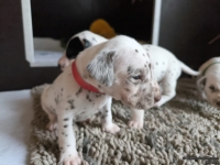 IMG_20250121_112914_web