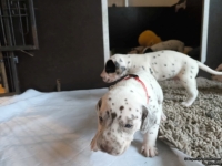 IMG_20250121_112916_web