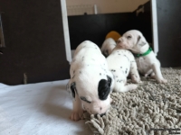 IMG_20250121_112926_web