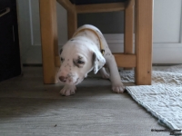 IMG_20250121_112929_1_web