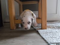 IMG_20250121_112929_web