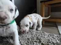 IMG_20250121_112933_web