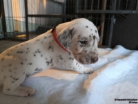 IMG_20250121_112938_web