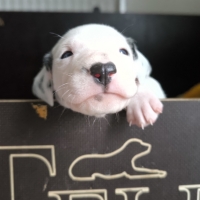 IMG_20250119_231202_web