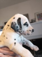 IMG_20250128_111849_1_web