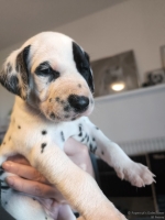 IMG_20250128_111852_web