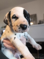 IMG_20250128_111853_web