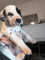 IMG_20250128_111855_web