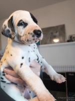 IMG_20250128_111856_web