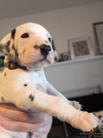 IMG_20250128_111907_web