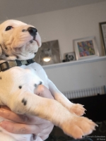 IMG_20250128_111908_web