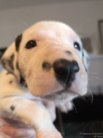 IMG_20250128_111910_web