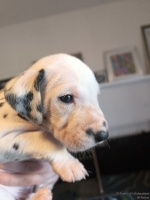 IMG_20250128_111911_web