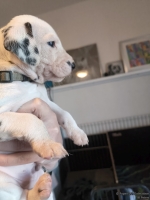 IMG_20250128_111913_web