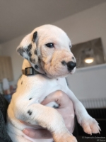 IMG_20250128_111915_web