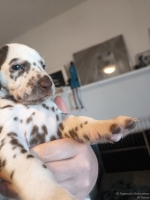 IMG_20250128_111924_web