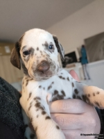 IMG_20250128_111925_web