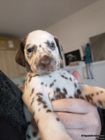 IMG_20250128_111926_web