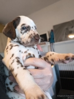 IMG_20250128_111928_1_web