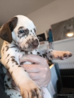 IMG_20250128_111928_web