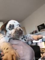 IMG_20250128_111940_web