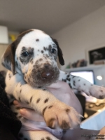 IMG_20250128_111941_web