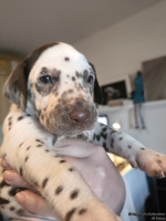 IMG_20250128_111945_web