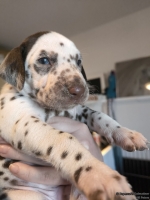 IMG_20250128_111947_web