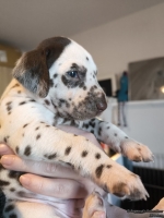 IMG_20250128_111949_web