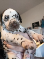 IMG_20250128_111953_web