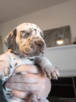 IMG_20250128_112007_1_web