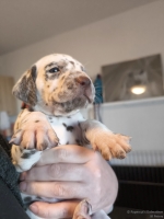 IMG_20250128_112010_web