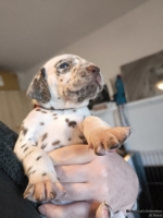 IMG_20250128_112013_web