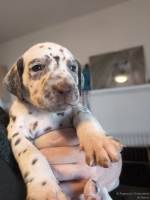 IMG_20250128_112016_web