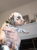 IMG_20250128_112025_web